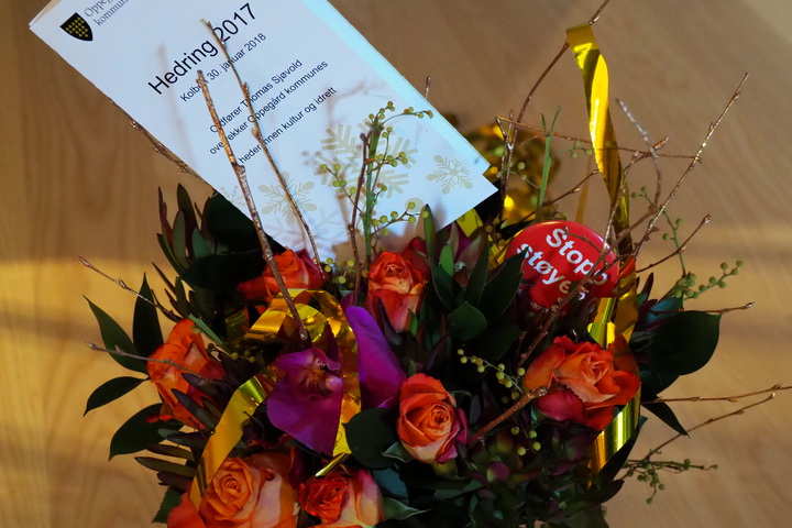 Frivillighetsprisen 2017